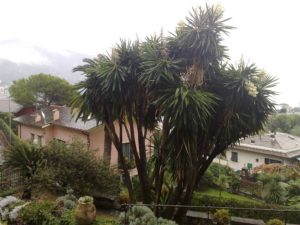 casa in vendita